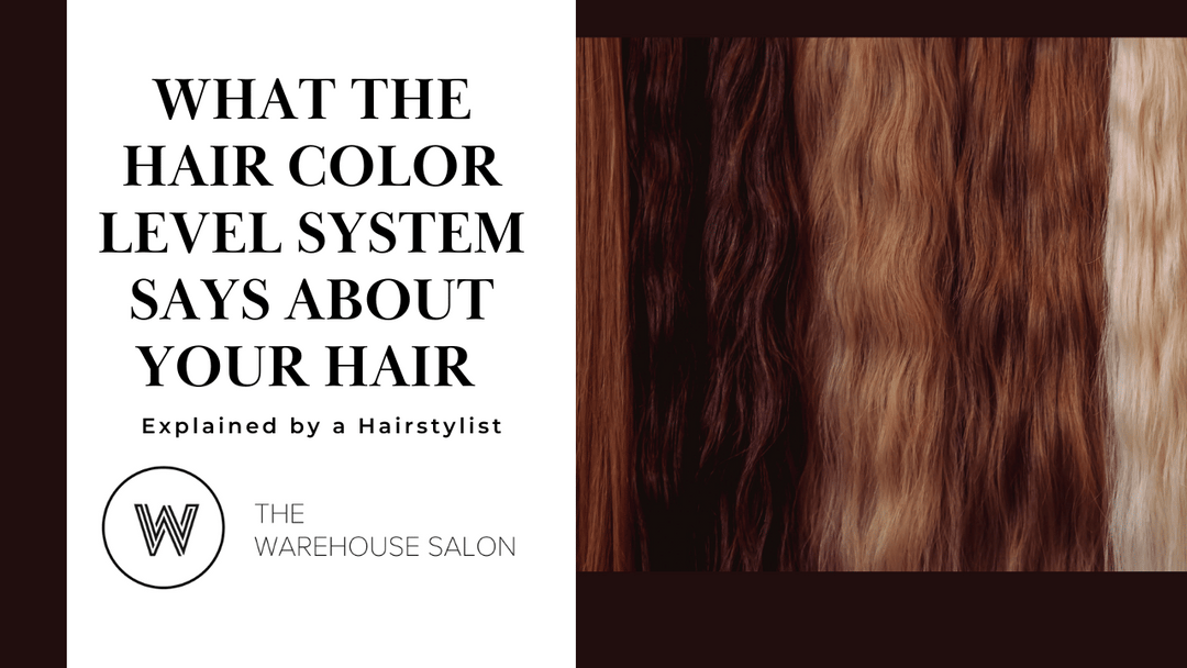 What Does Your Hair Color Level Mean?