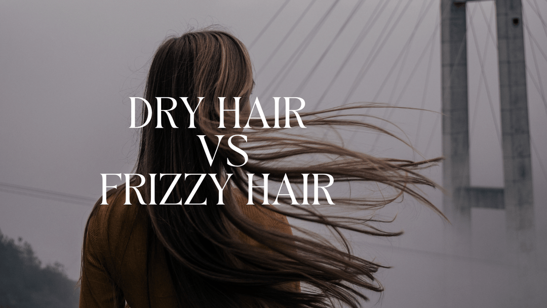 Dry Hair vs Frizzy Hair, What is the Difference?